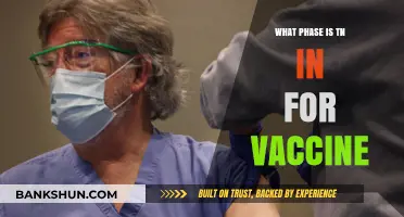 Tennessee's Vaccine Rollout: Current Phase and Future Prospects