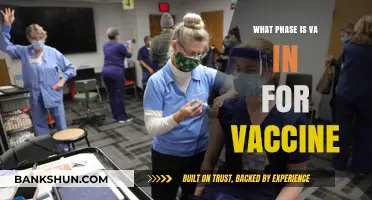 Virginia's Vaccine Rollout: Current Phase and Future Prospects