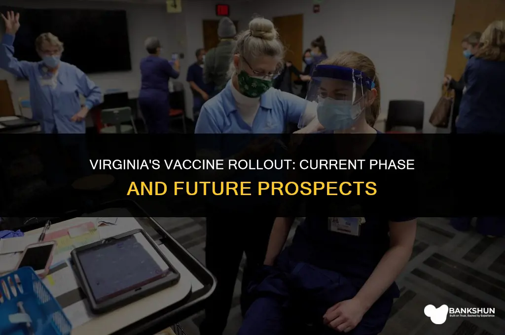what phase is va in for vaccine