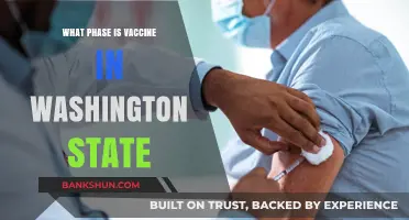 Vaccine Rollout in Washington State: Current Phase and Updates