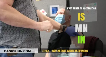 Minnesota's Vaccination Progress: Current Phase and Future Outlook