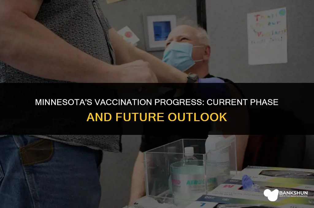 what phase of vaccination is mn in