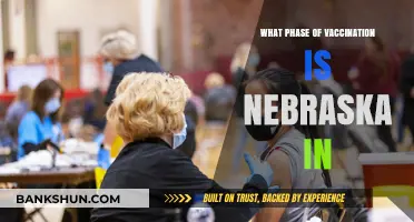 Nebraska's Vaccination Progress: Current Phase and Updates