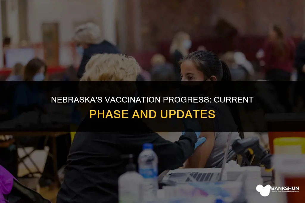what phase of vaccination is nebraska in
