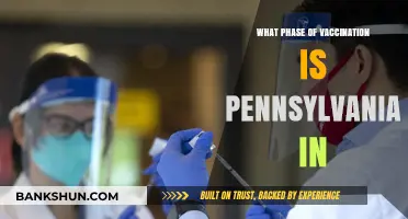Pennsylvania's Vaccination Progress: Current Phase and Updates