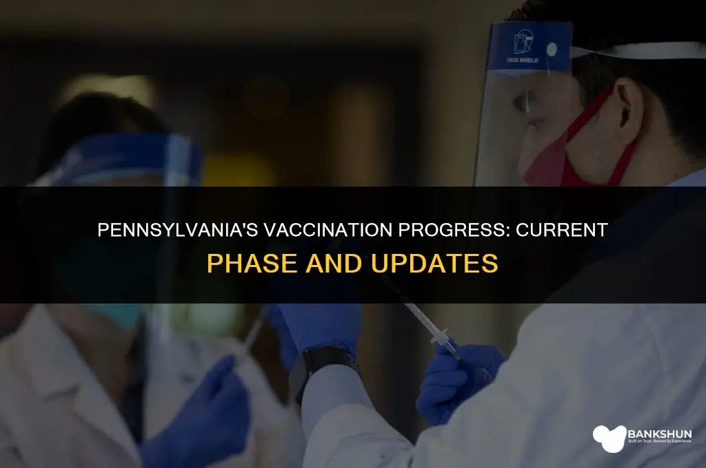 what phase of vaccination is pennsylvania in