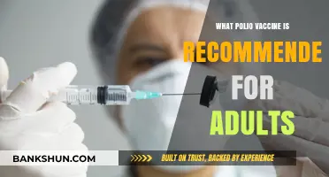 Polio Vaccine Recommendations for Adults: A Comprehensive Guide