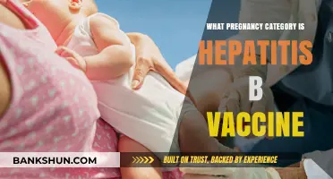 Understanding Hepatitis B Vaccine Safety During Pregnancy