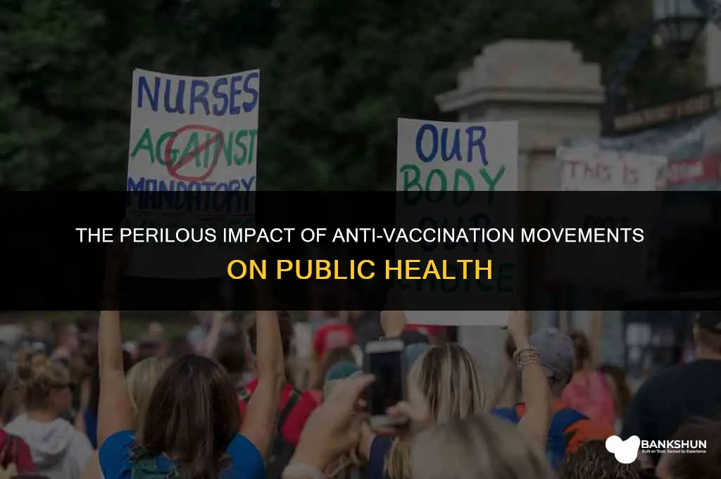 what problems does anti-vaccination bring about