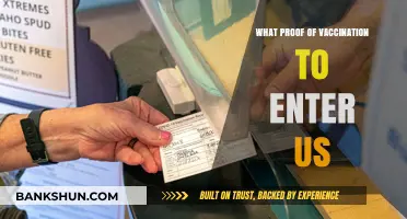 US Entry Requirements: Proof of Vaccination Explained