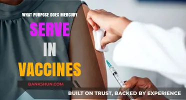 Unveiling Mercury's Role in Vaccine Formulations: A Comprehensive Guide