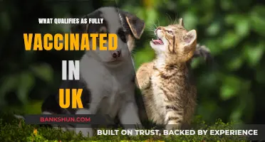 Understanding Full Vaccination Status in the UK: A Comprehensive Guide