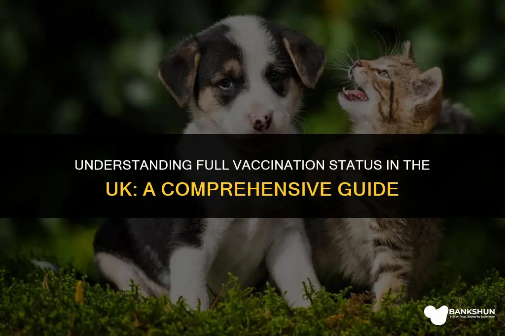 what qualifies as fully vaccinated in uk