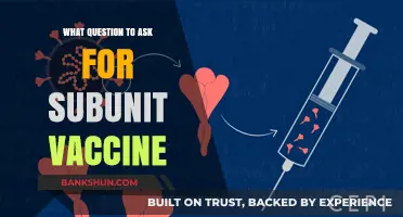 Exploring Subunit Vaccines: Key Questions for Optimal Protection
