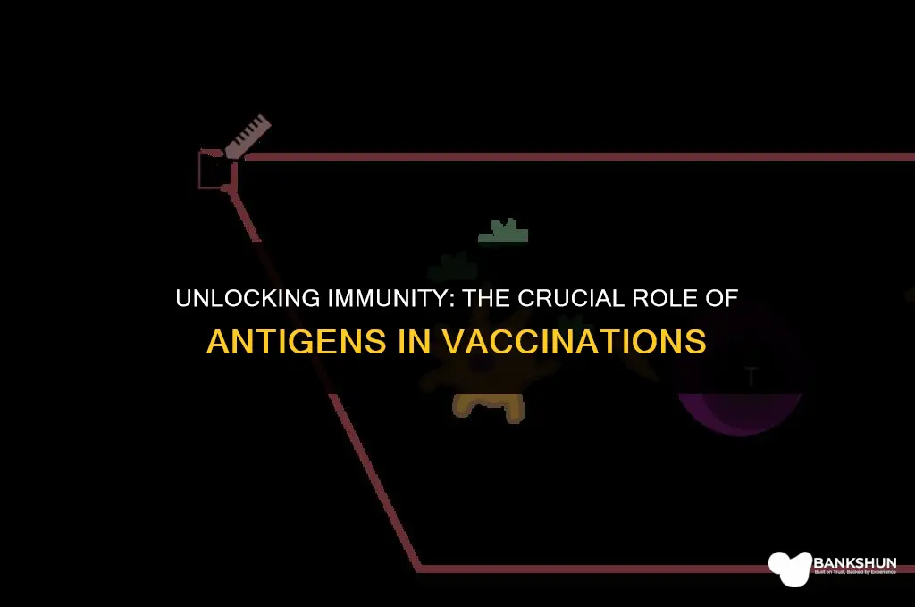 what role do antigens play in vaccinations