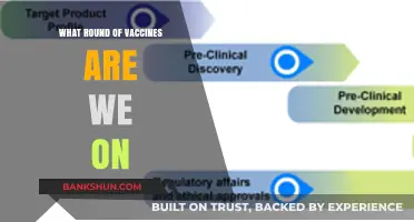 Decoding the Vaccine Journey: Where We Stand and What's Next