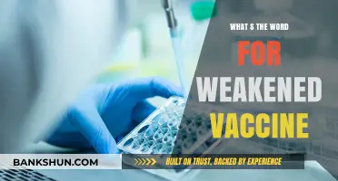 Understanding Vaccine Efficacy: The Term for Weakened Vaccines Explained