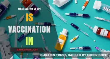 Decoding the CPT: Where Vaccinations Fit In