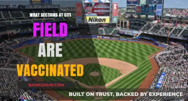 Vaccinated Sections at Citi Field: A Guide for Safe Game-Day Experiences