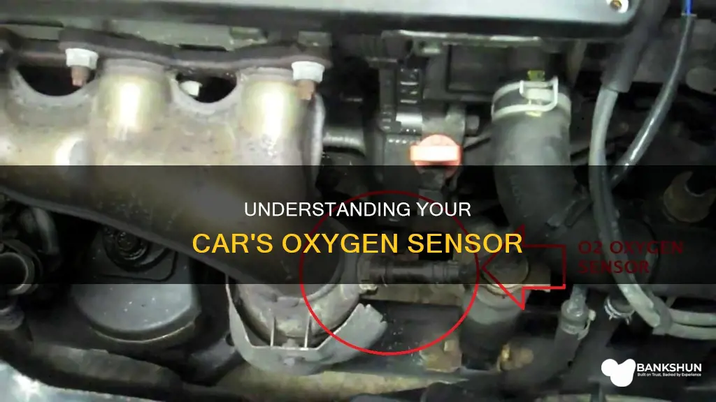 what sensor is bank 1 sensor 1