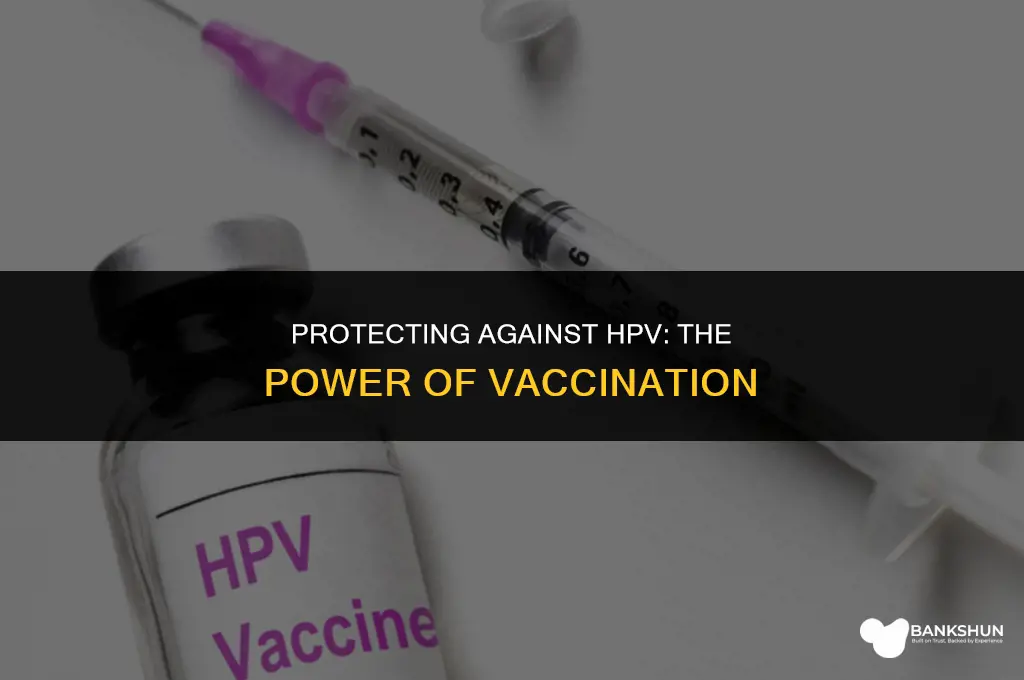 what sexual transmited deasise is vaccinated agasnt
