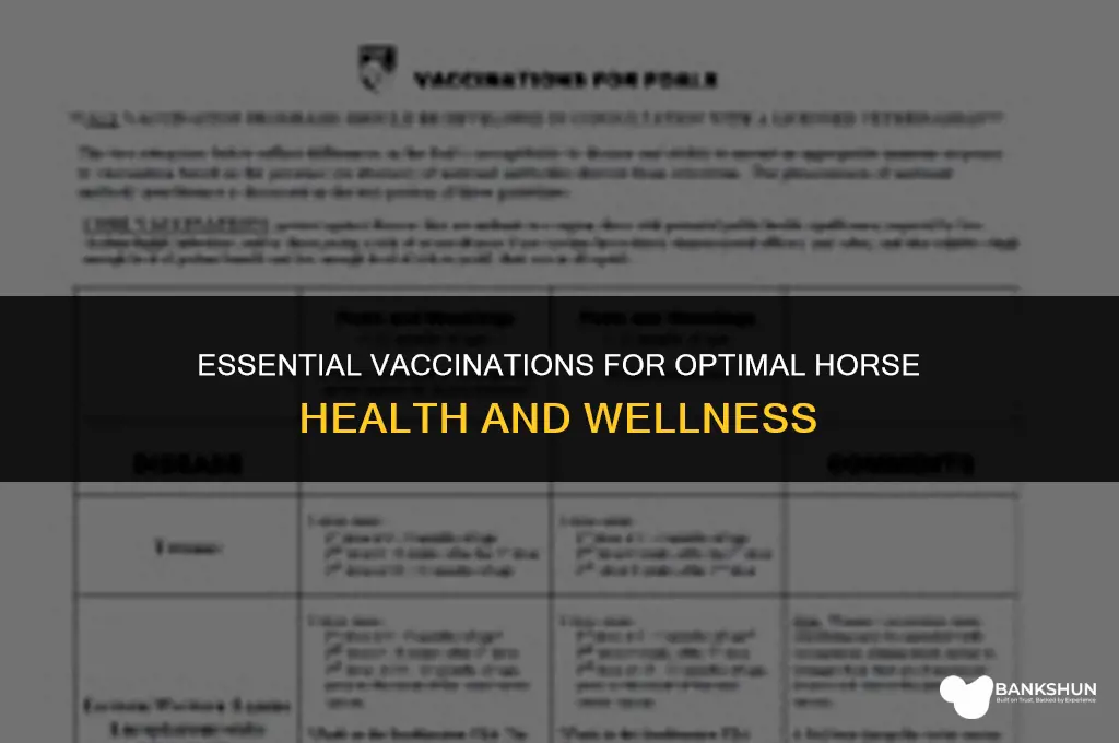 what should a horse be vaccinated for