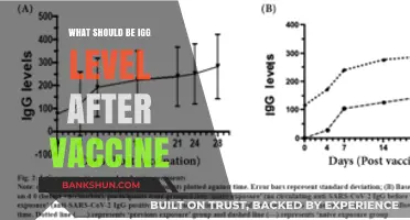 Understanding IgG Levels Post-Vaccination: What to Expect