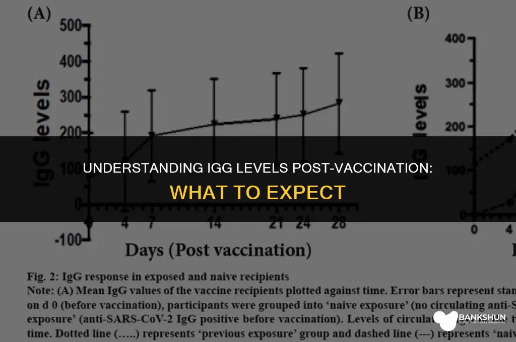 what should be igg level after vaccine