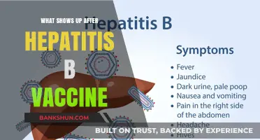Unveiling the Aftermath: What to Expect Post-Hepatitis B Vaccine