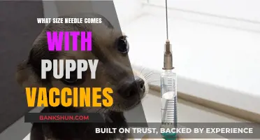 Puppy Vaccine Needle Sizes: A Comprehensive Guide for New Pet Owners