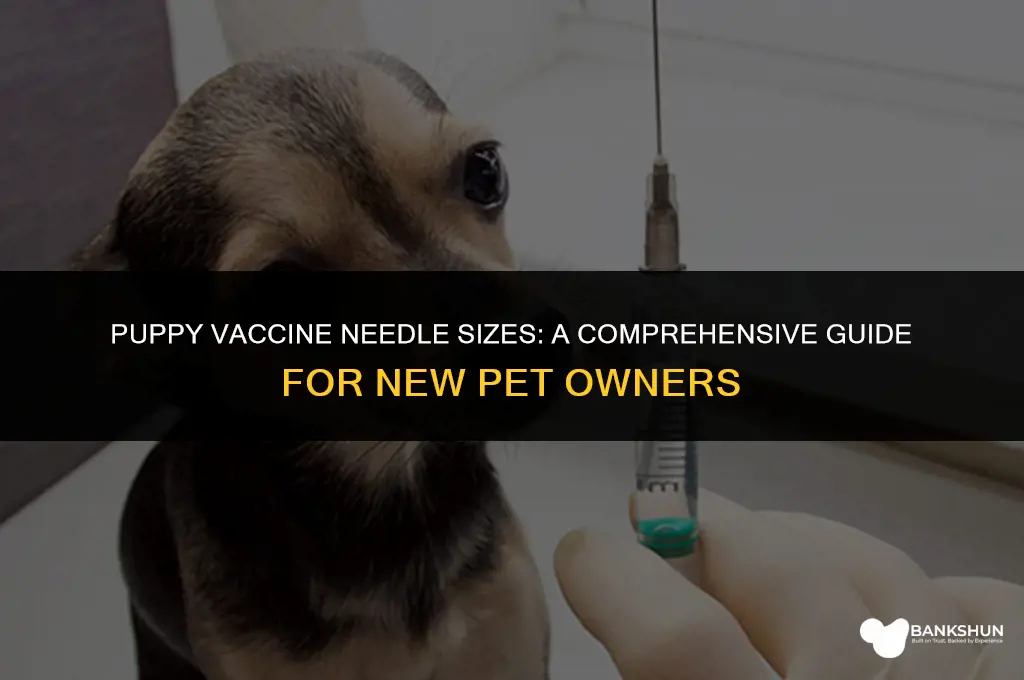 what size needle comes with puppy vaccines