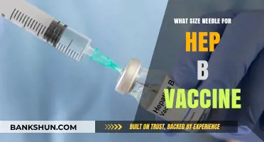 Choosing the Right Needle Size for Hepatitis B Vaccination