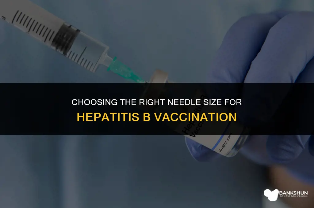 what size needle for hep b vaccine