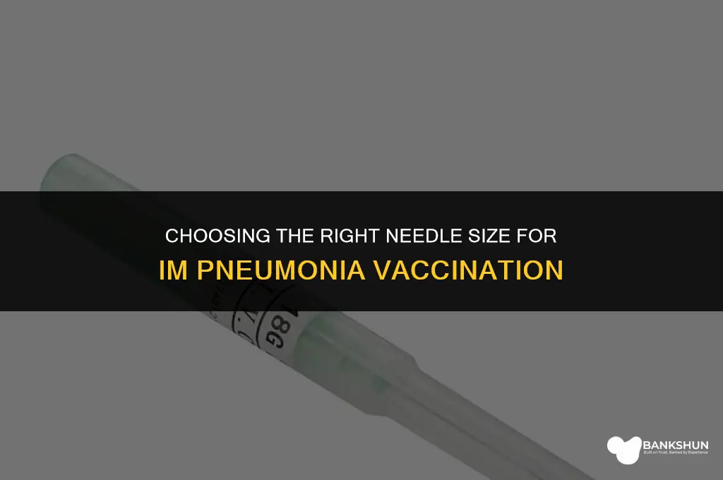 what size needle for im pneumonia vaccine