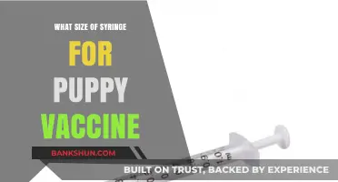 Choosing the Right Syringe Size for Your Puppy's Vaccinations