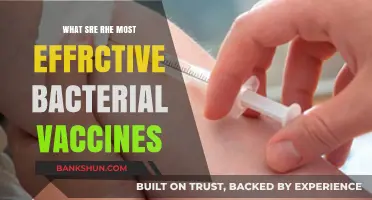 Combatting Bacterial Threats: The Most Effective Vaccines Unveiled
