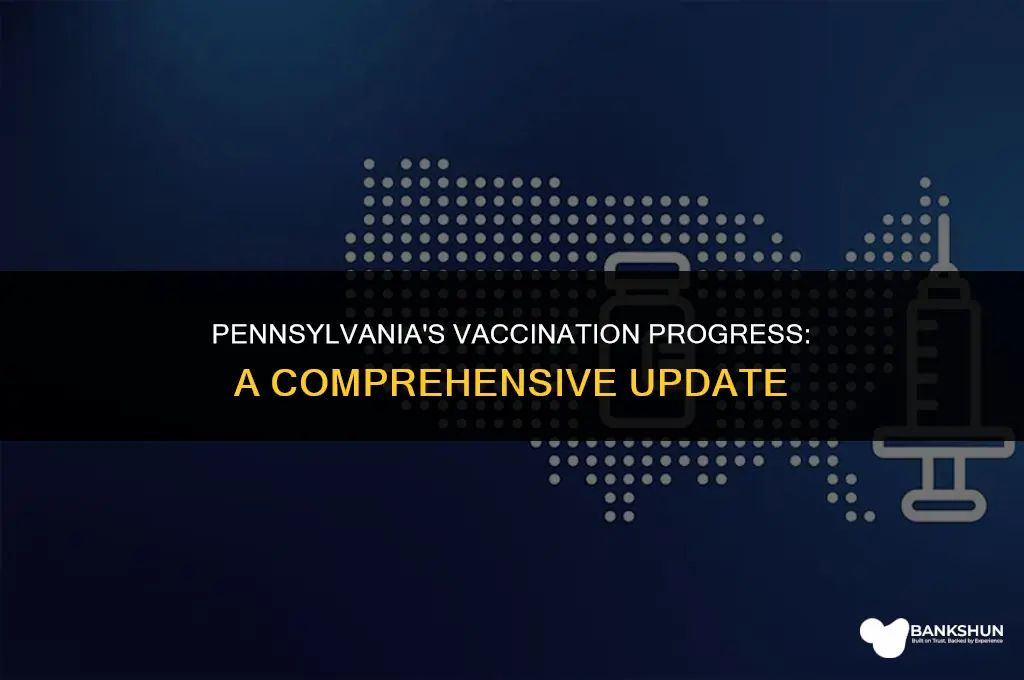 what stage is pennsylvania in for vaccinations