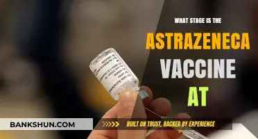 AstraZeneca Vaccine Progress: Current Stage and Future Outlook