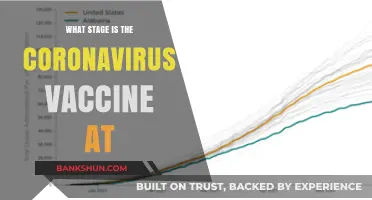 Decoding the Progress: Where Does the Coronavirus Vaccine Stand?