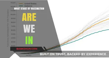Vaccination Progress: Where We Stand and What's Next