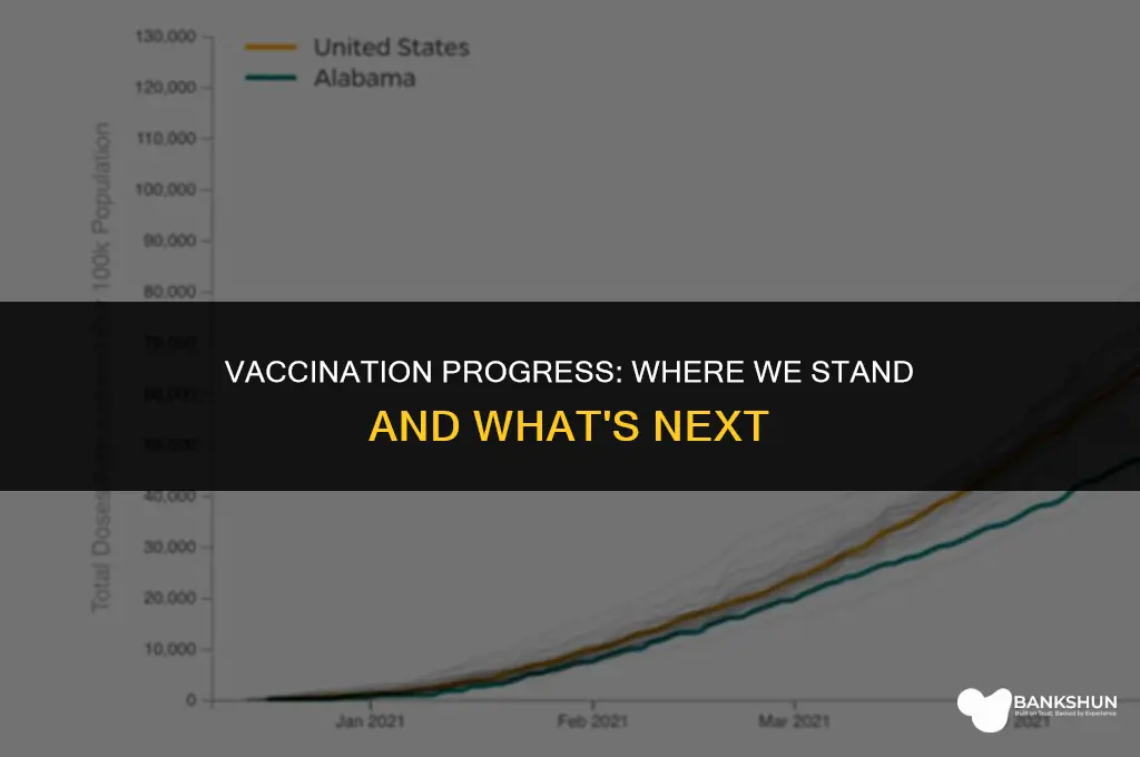 what stage of vaccination are we in