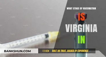 Virginia's Vaccination Progress: Current Stage and Future Outlook