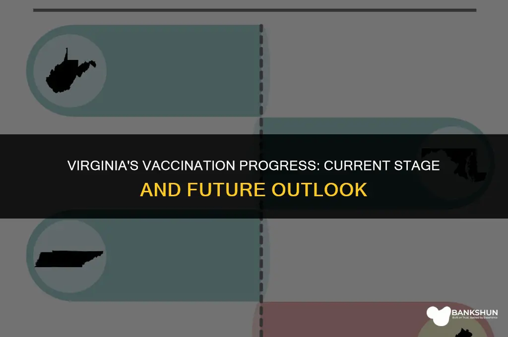 what stage of vaccination is virginia in