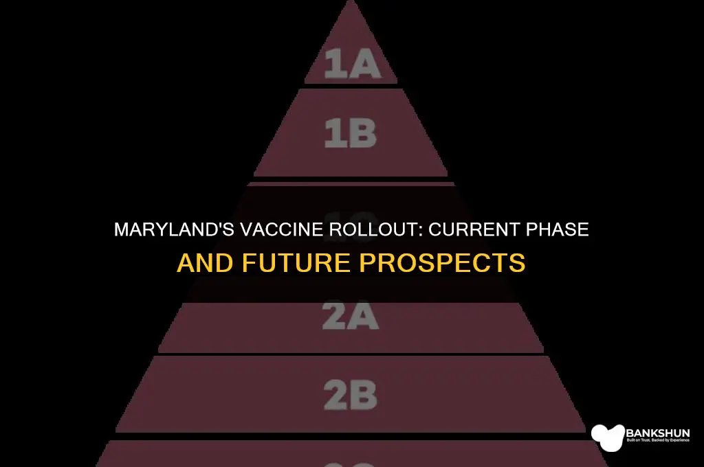 what stage of vaccine is maryland in