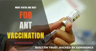 Top States for Ant Vaccination: A Comprehensive Guide