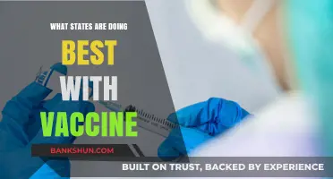 Leading the Charge: States Excelling in Vaccine Distribution and Administration
