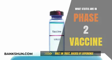 Vaccine Rollout: Which States Are in Phase 2?