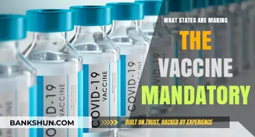 States Enacting COVID-19 Vaccine Mandates: A Comprehensive Overview