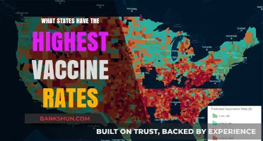 Top States Leading the Charge in Vaccine Rates Revealed