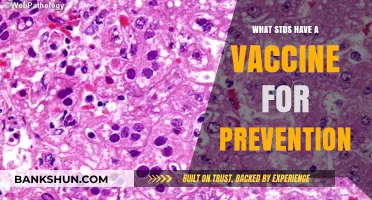 Protect Yourself: Exploring Vaccines for Common STDs